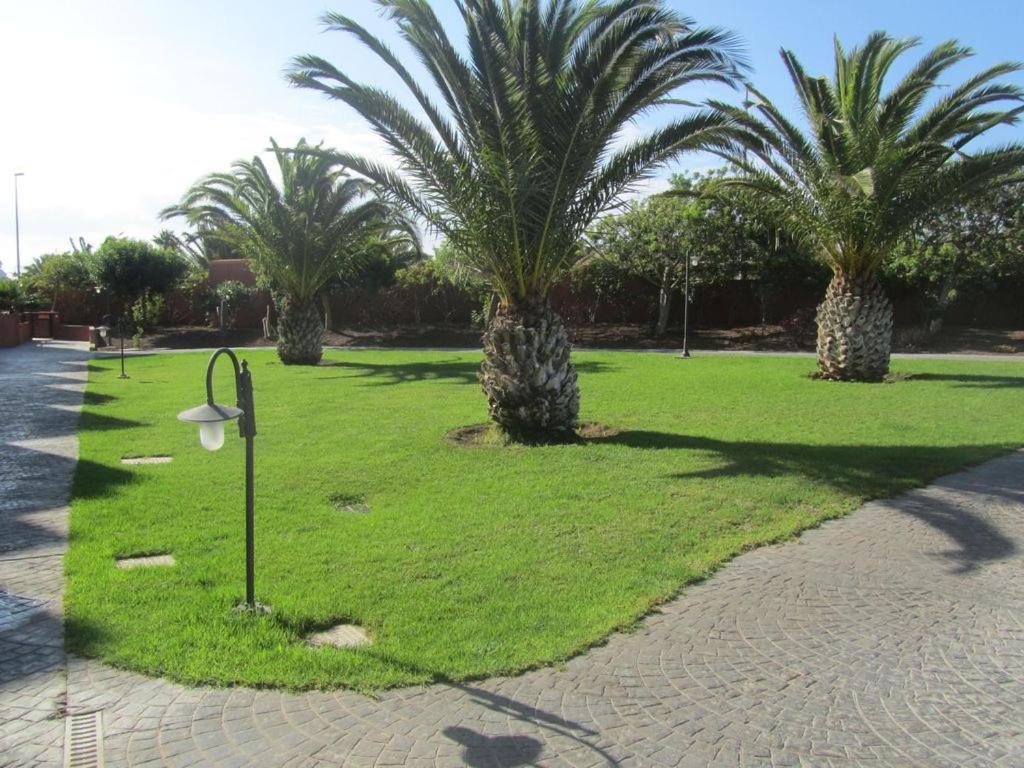 Villa Moleiro- La Tejita Exteriér fotografie